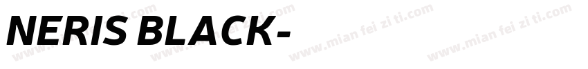 NERIS BLACK字体转换